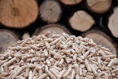 Tokyo Cement inaugurates new biomass plant