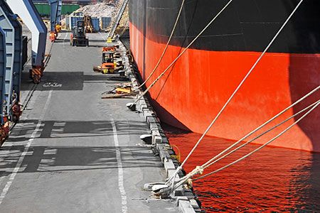 New bulk terminal inaugurated in Pakistan