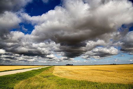 Willington Quarry welcomes cattle for onsite grazing