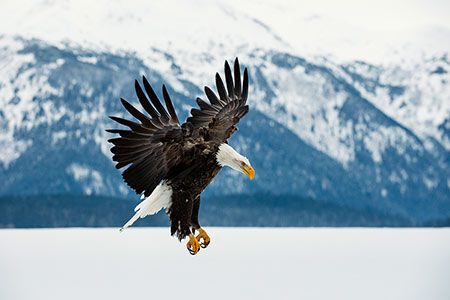 Cemex’s global conservation efforts recognised by Wildlife Habitat Council