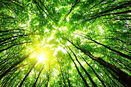 Heriot-Watt University led project accelerates efforts to decarbonise cement industry