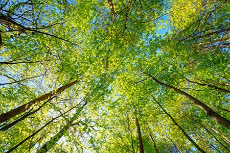 New cementitious materials PCR advances environmental reporting