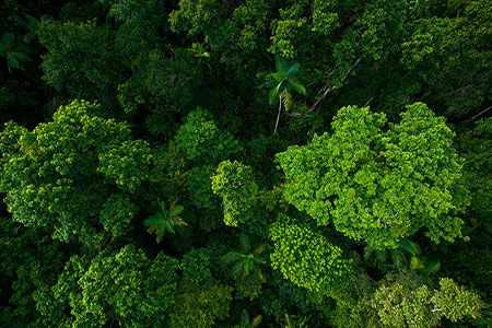 UltraTech Cement joins LeadIT to accelerate low-carbon transition